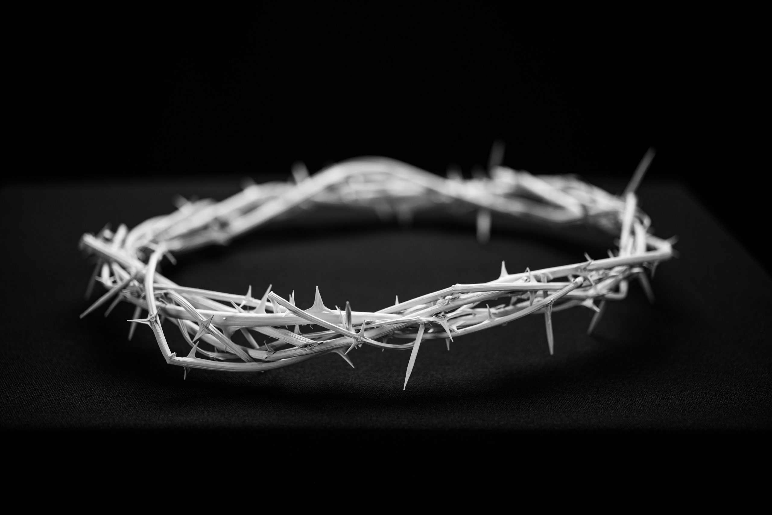 The Second Adam: How Easter Reversed the Curse - The Rebelution